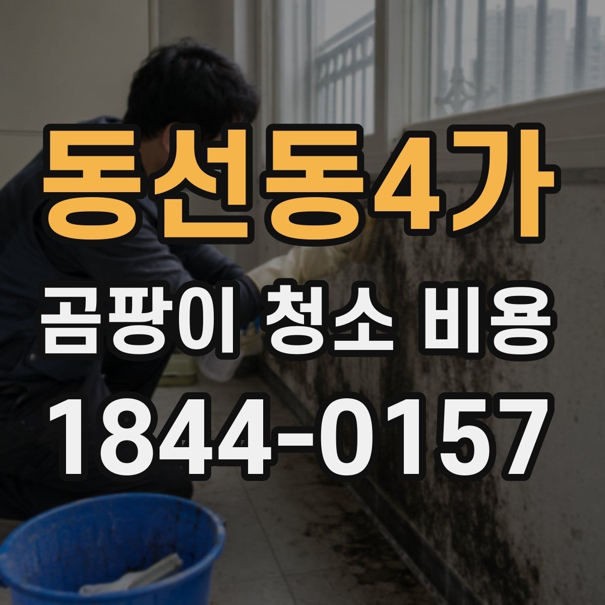 동선동4가 곰팡이 청소 비용 냄새가 오래 남는 집에서 체크할 항목
