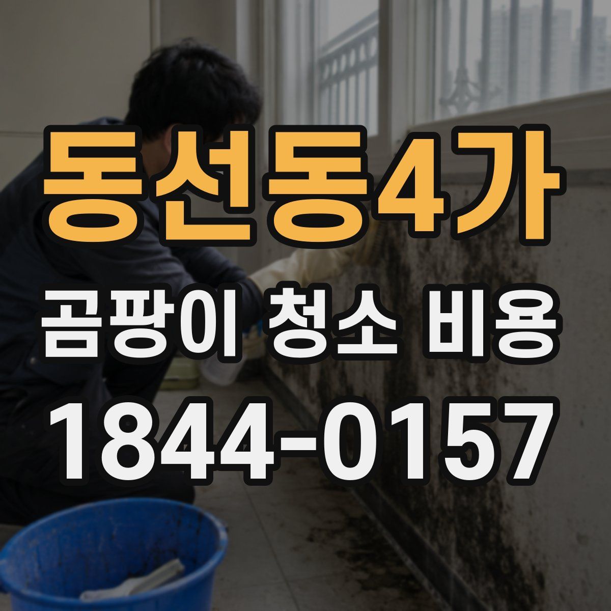 동선동4가 곰팡이 청소 비용