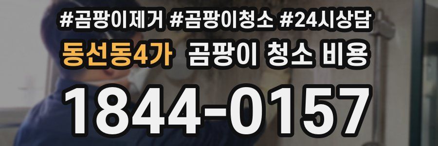 동선동4가 곰팡이 청소 비용