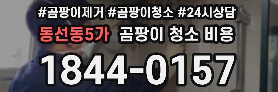 동선동5가 곰팡이 청소 비용