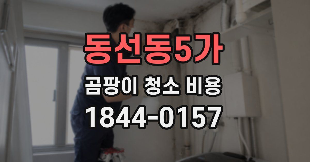 동선동5가 곰팡이 청소 비용
