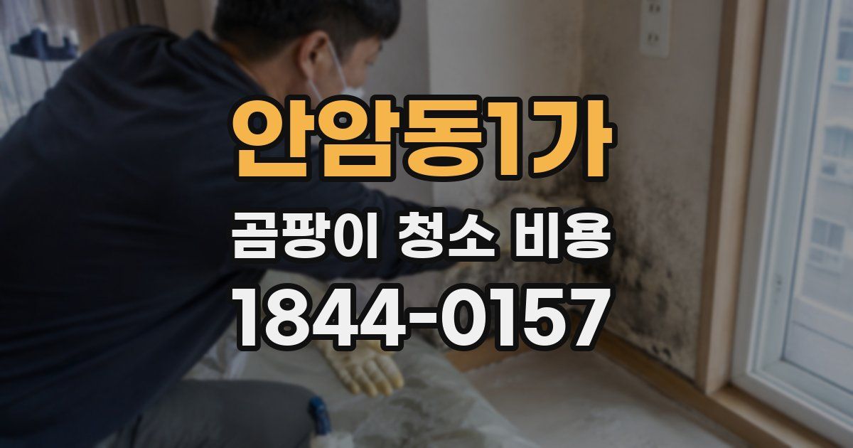 안암동1가 곰팡이 청소 비용
