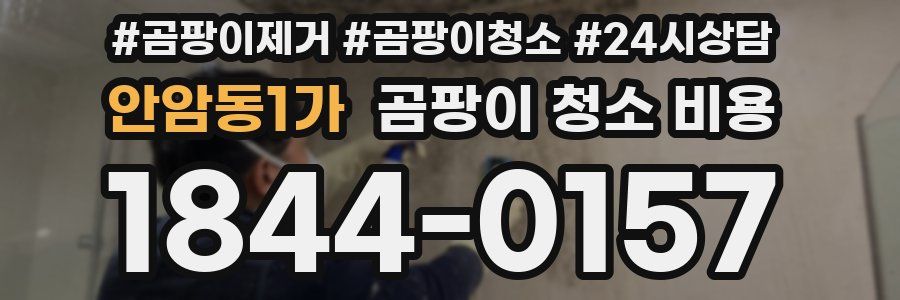 안암동1가 곰팡이 청소 비용