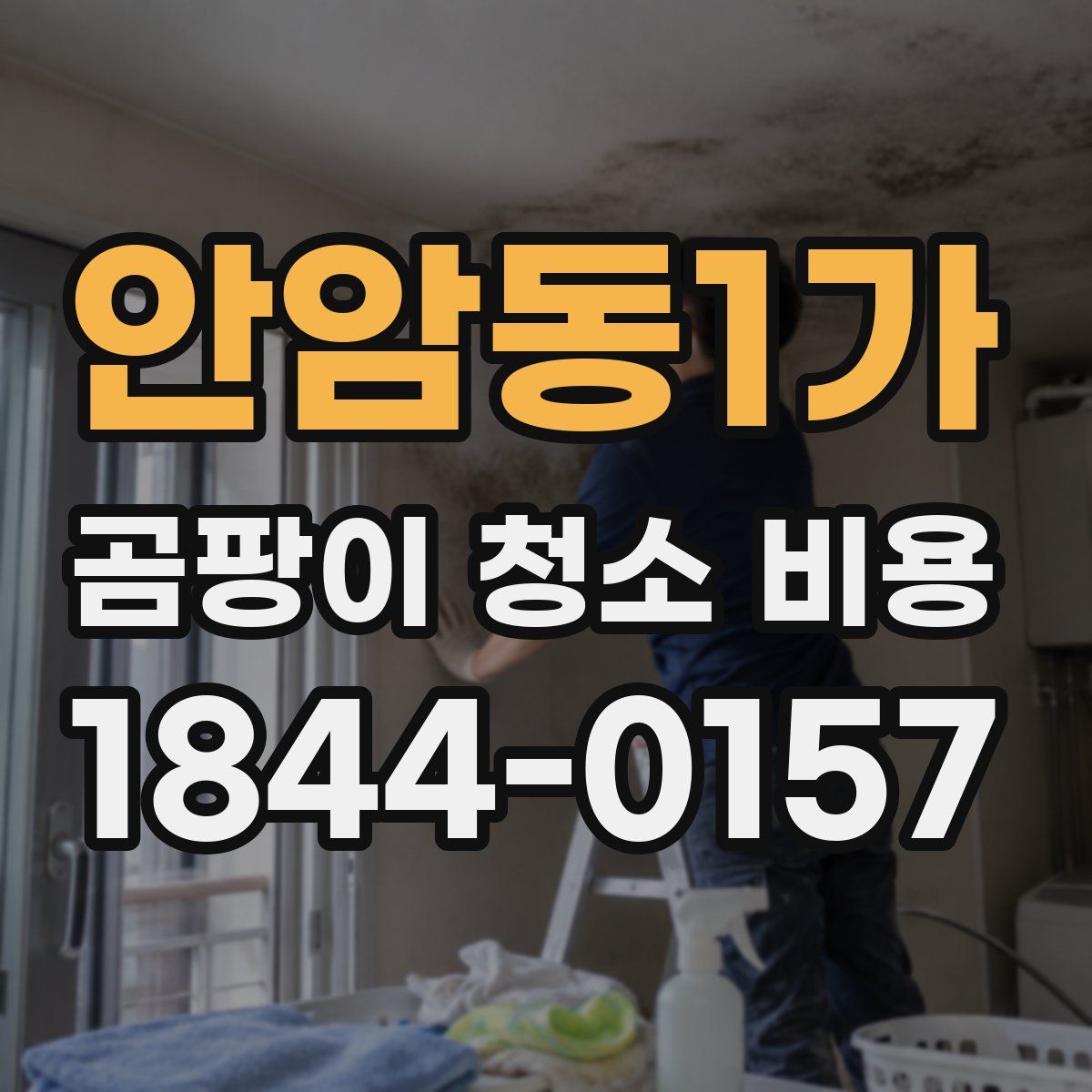 안암동1가 곰팡이 청소 비용