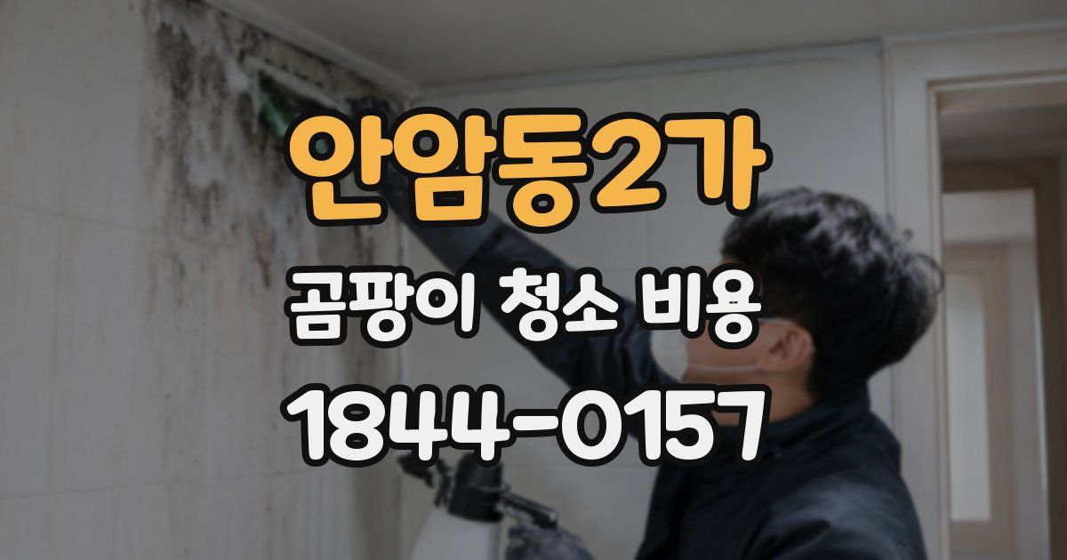안암동2가 곰팡이 청소 비용
