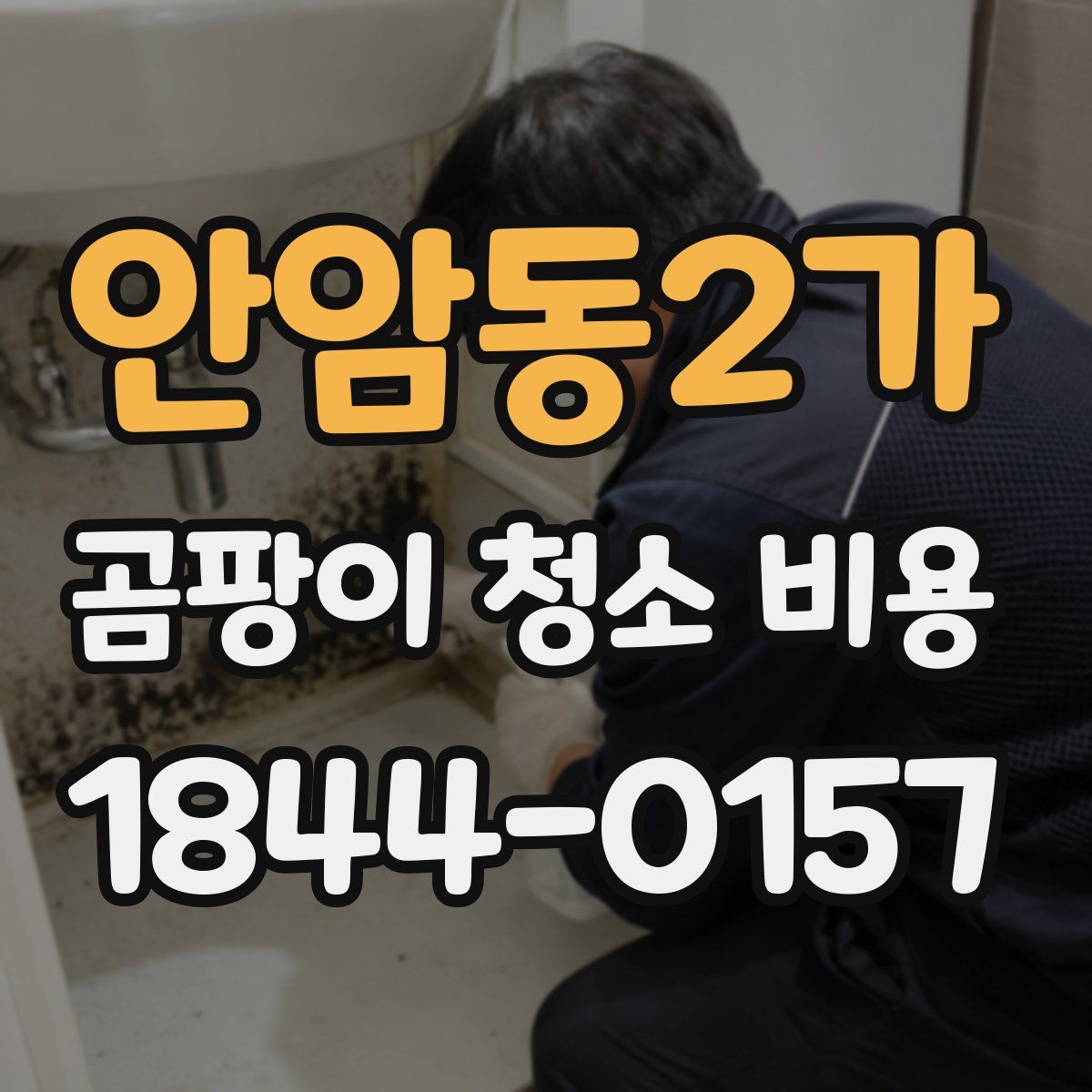 안암동2가 곰팡이 청소 비용