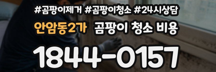 안암동2가 곰팡이 청소 비용