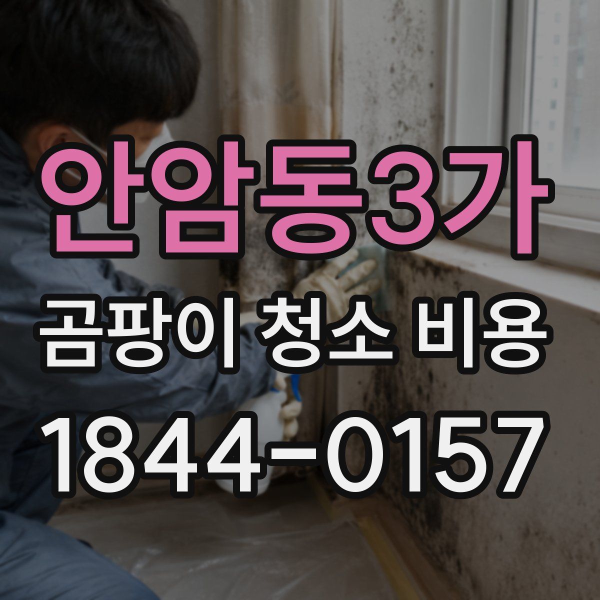 안암동3가 곰팡이 청소 비용