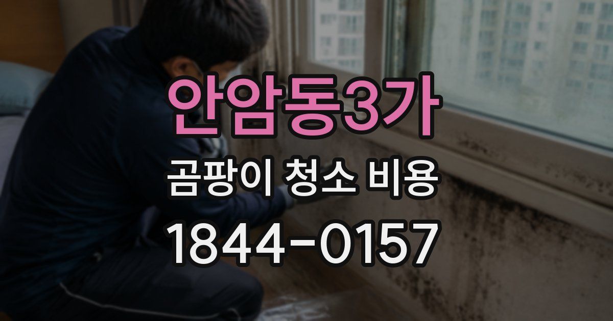 안암동3가 곰팡이 청소 비용