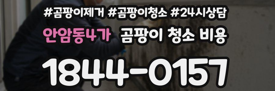 안암동4가 곰팡이 청소 비용
