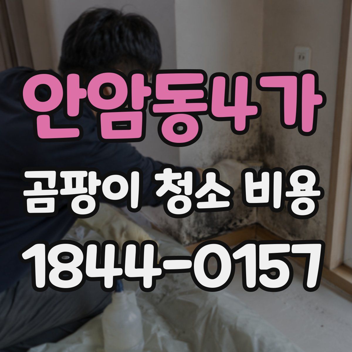 안암동4가 곰팡이 청소 비용