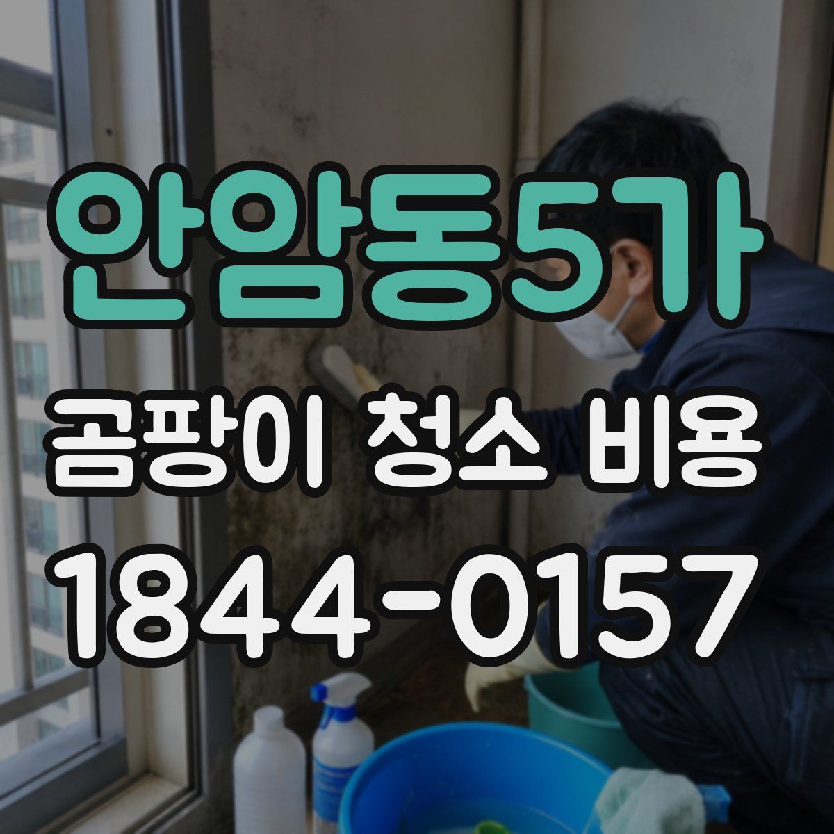 안암동5가 곰팡이 청소 비용