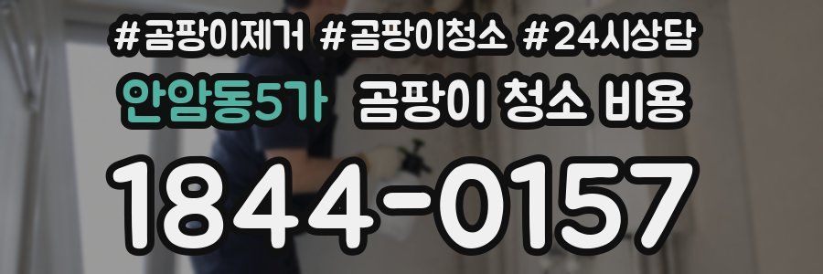 안암동5가 곰팡이 청소 비용