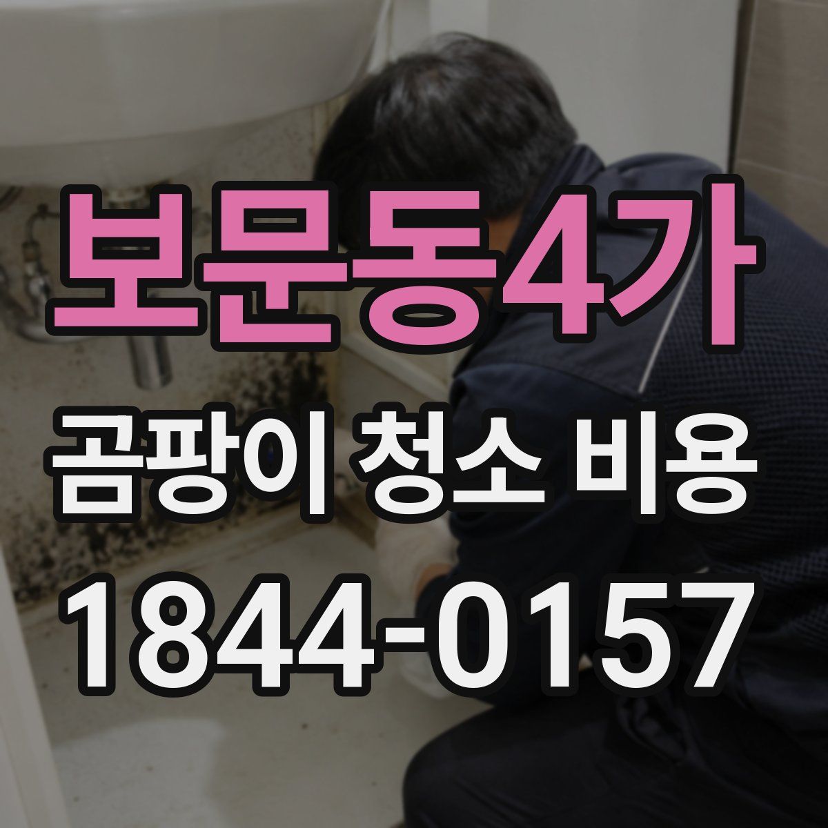 보문동4가 곰팡이 청소 비용