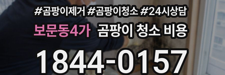 보문동4가 곰팡이 청소 비용