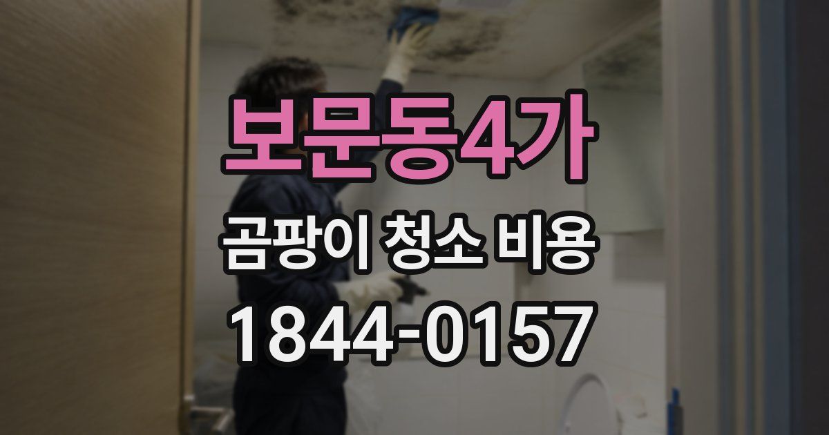 보문동4가 곰팡이 청소 비용