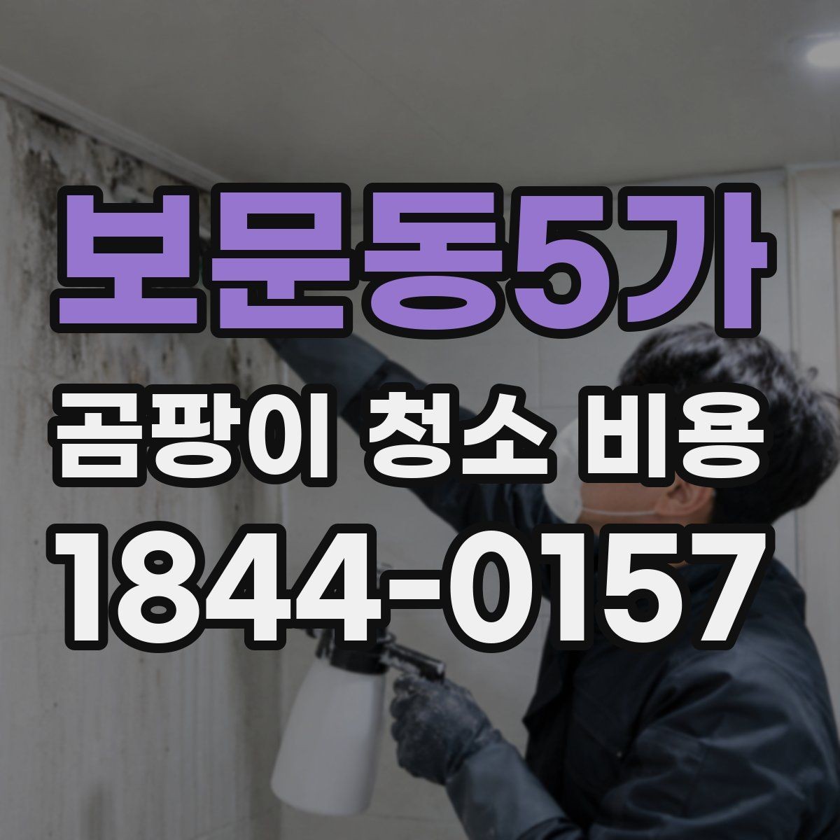 보문동5가 곰팡이 청소 비용 벽지 오염 정도에 따라 실제 작업이 달라지는 경우