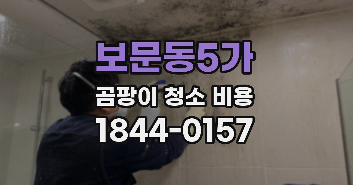 보문동5가 곰팡이 청소 비용