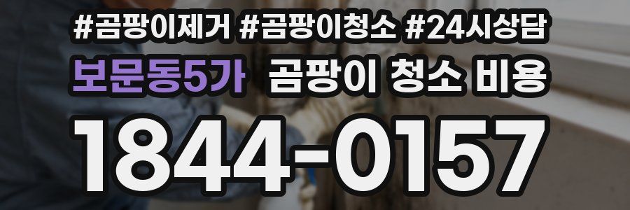 보문동5가 곰팡이 청소 비용