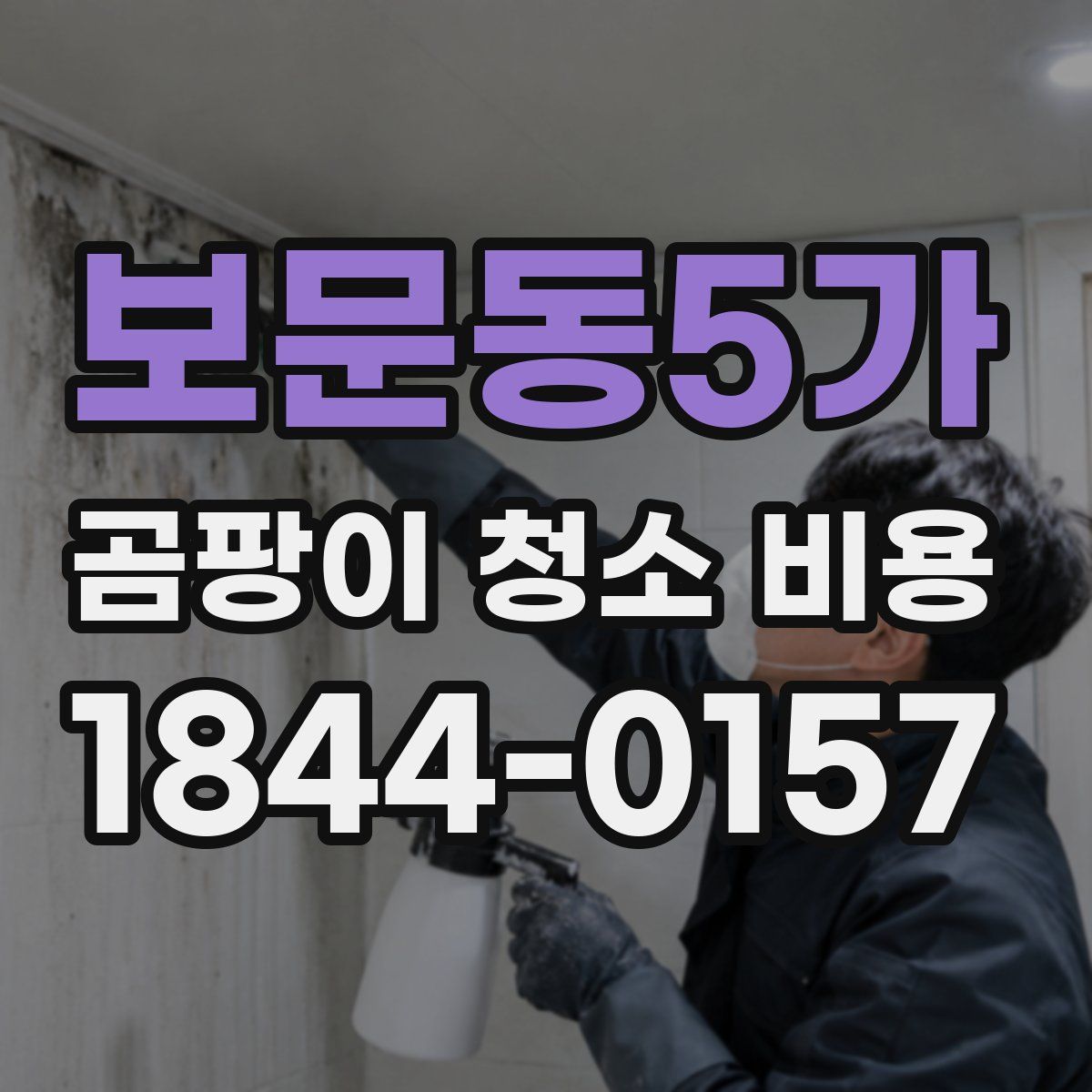 보문동5가 곰팡이 청소 비용