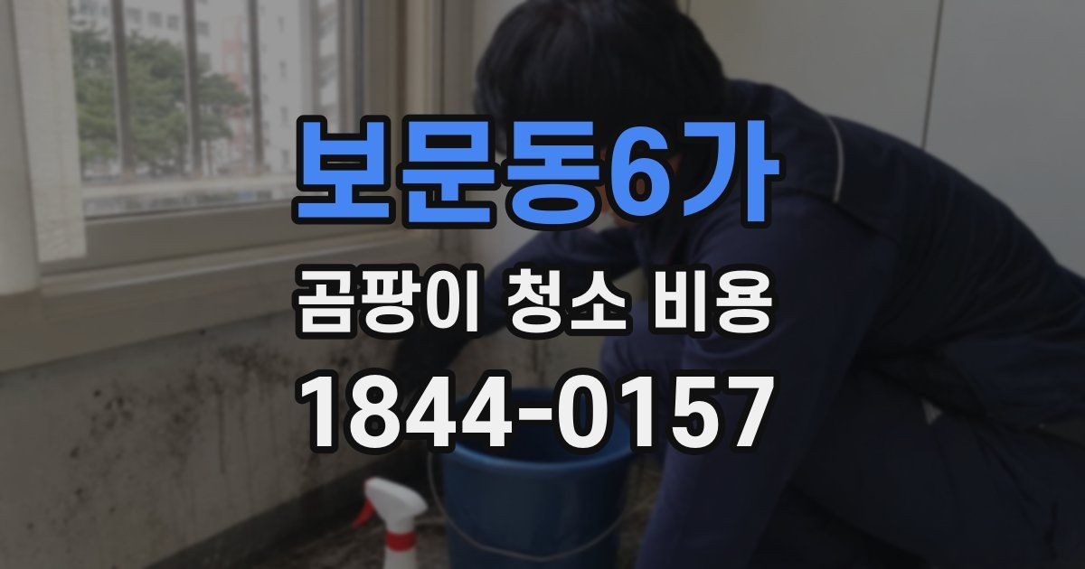 보문동6가 곰팡이 청소 비용