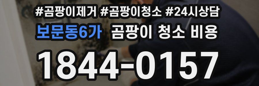 보문동6가 곰팡이 청소 비용