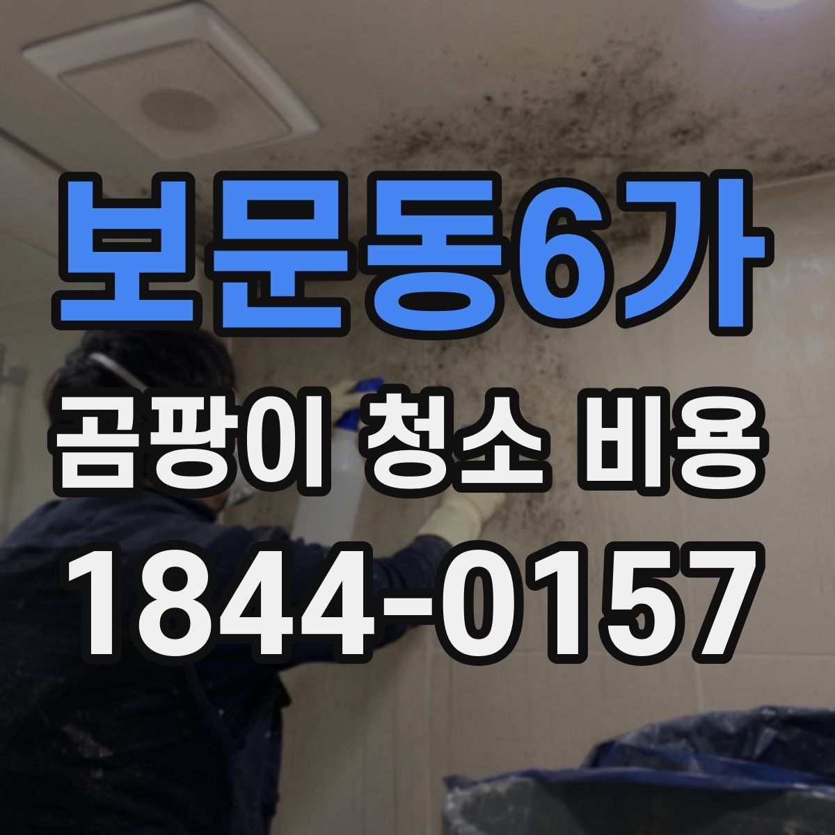보문동6가 곰팡이 청소 비용
