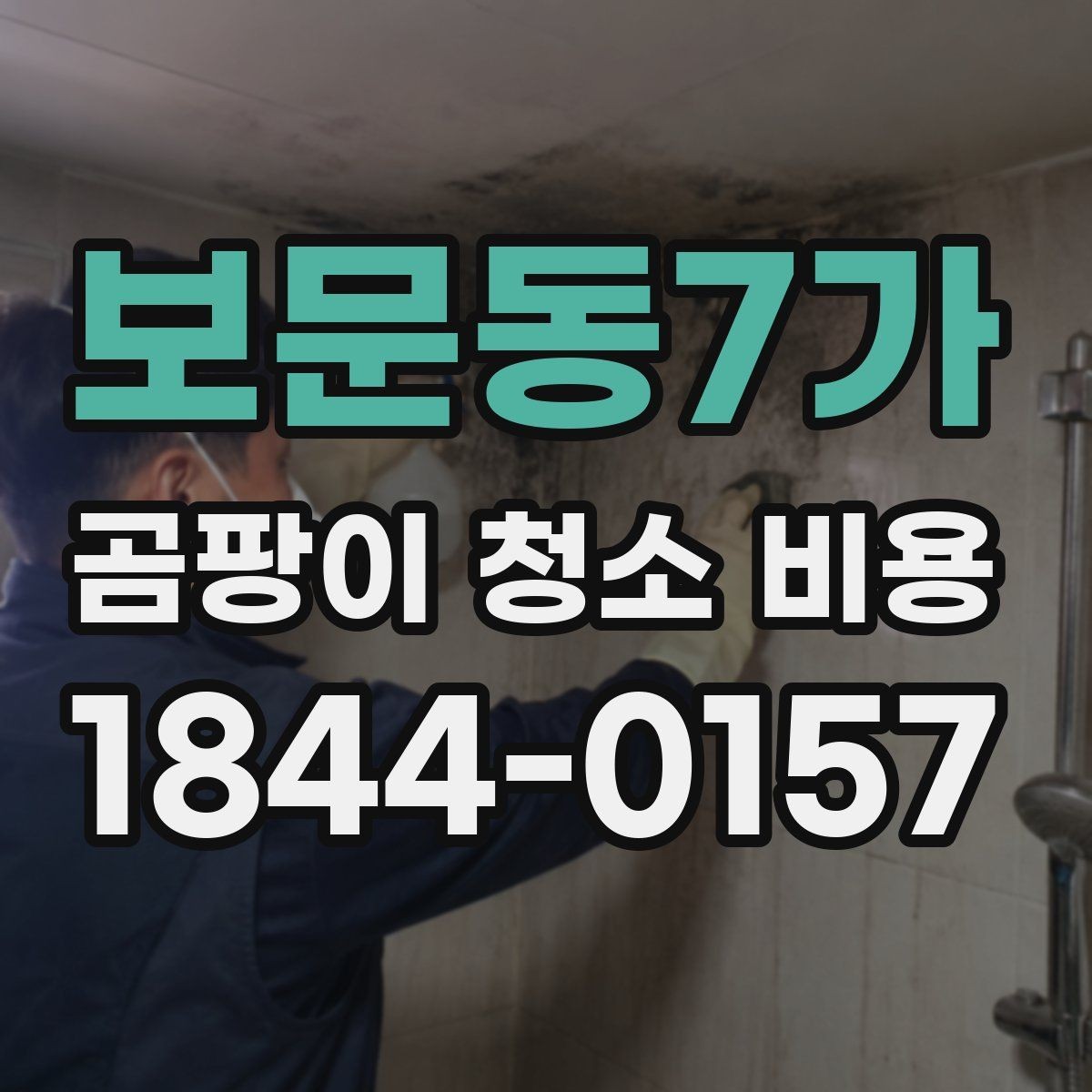 보문동7가 곰팡이 청소 비용 실리콘 재오염이 잦은 집의 공통 조건
