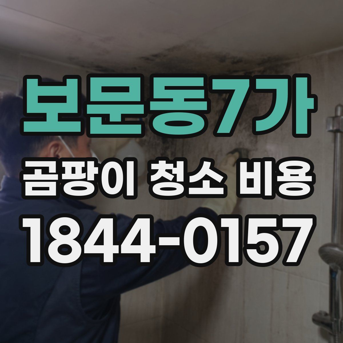보문동7가 곰팡이 청소 비용