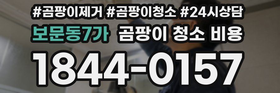 보문동7가 곰팡이 청소 비용