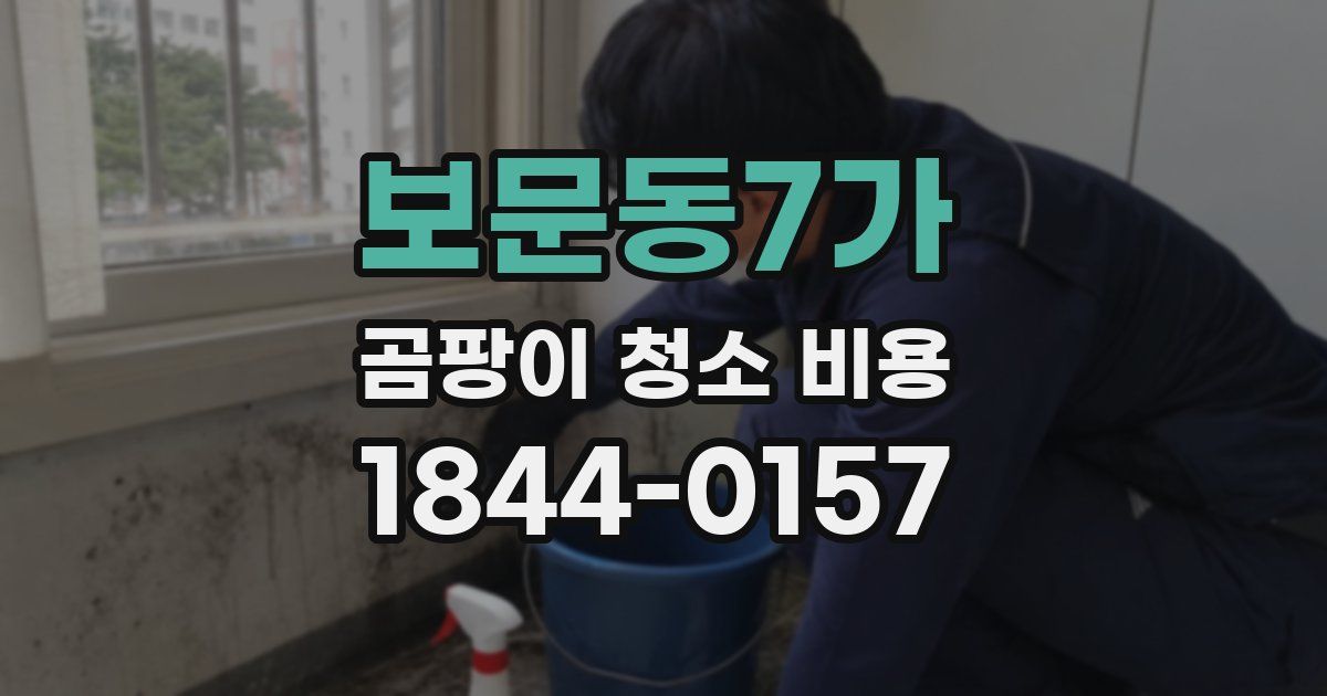 보문동7가 곰팡이 청소 비용