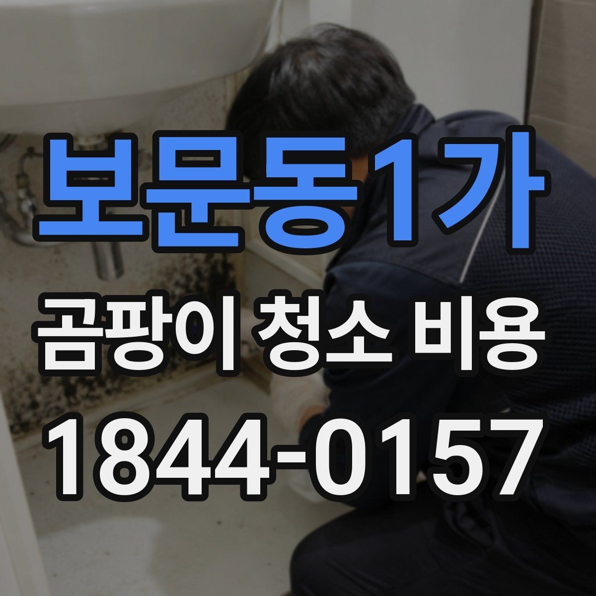 보문동1가 곰팡이 청소 비용 전체 작업이 필요한 집의 공통 조건