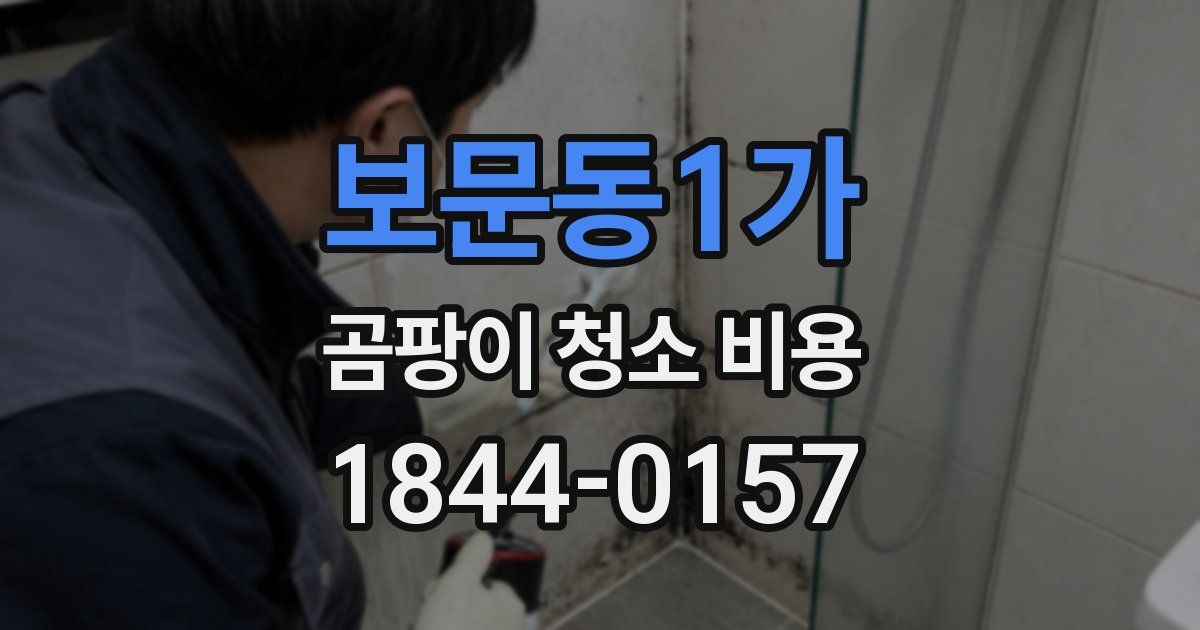 보문동1가 곰팡이 청소 비용