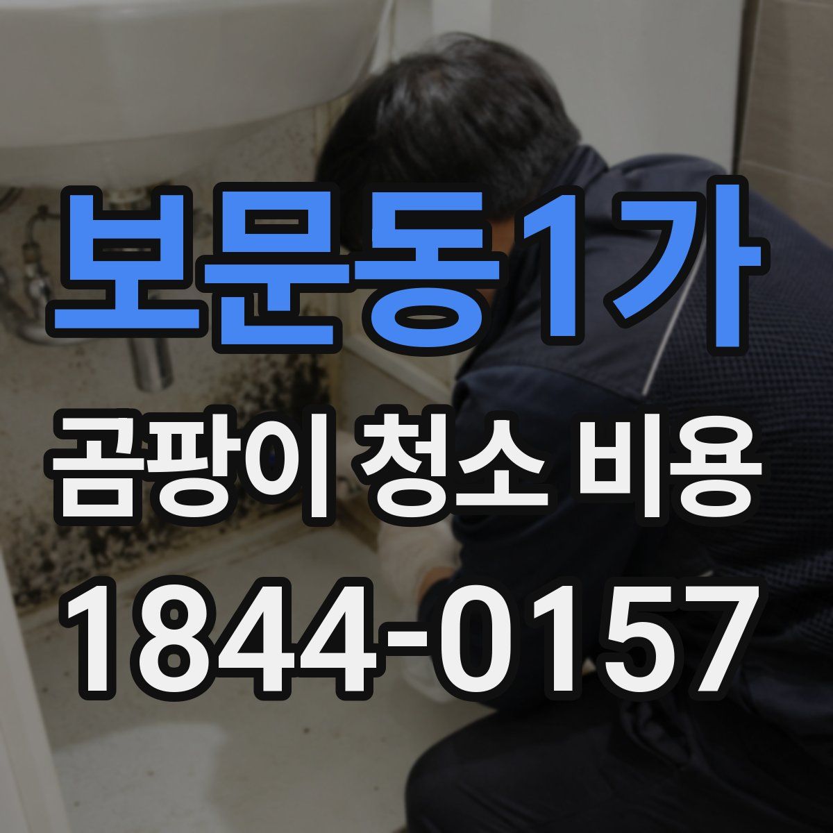 보문동1가 곰팡이 청소 비용