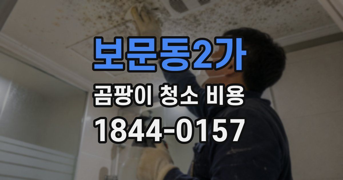 보문동2가 곰팡이 청소 비용