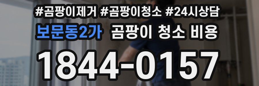 보문동2가 곰팡이 청소 비용