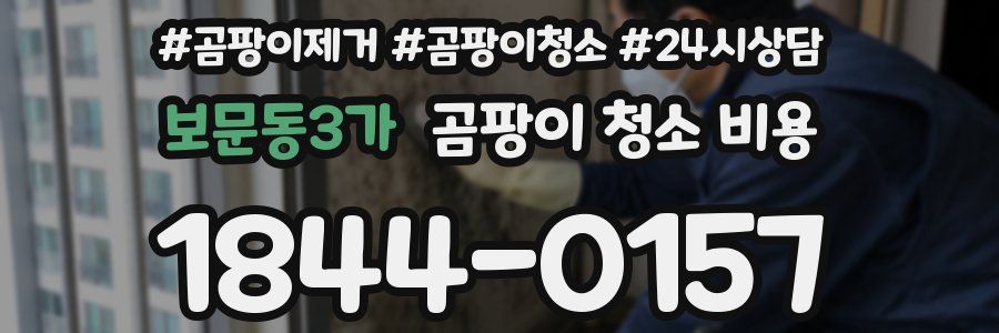 보문동3가 곰팡이 청소 비용