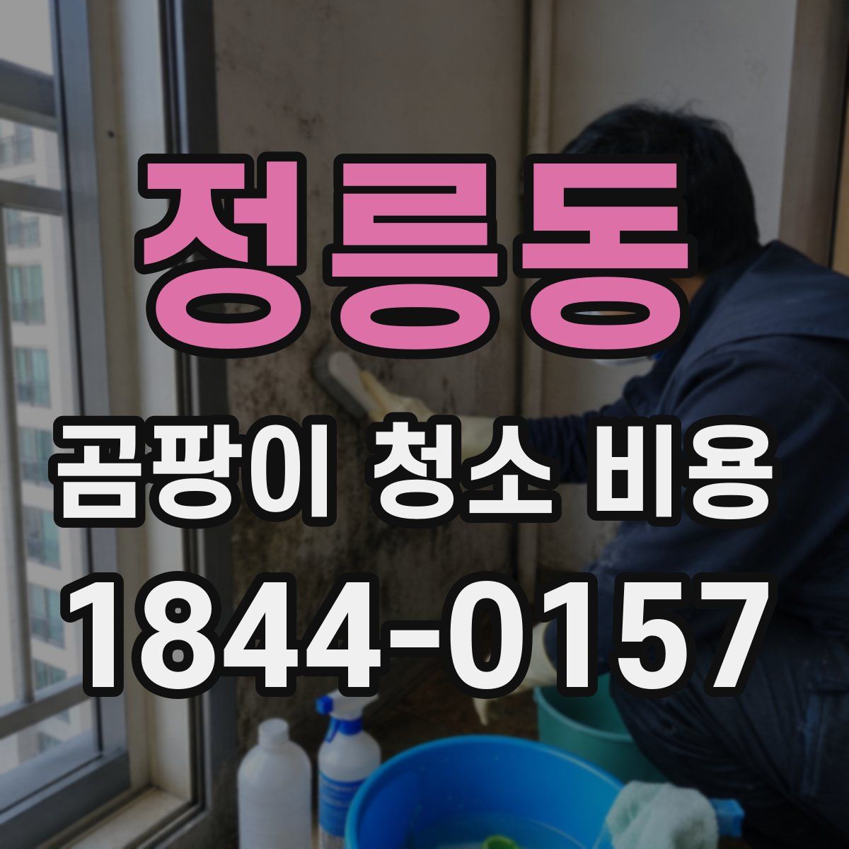 정릉동 곰팡이 청소 비용