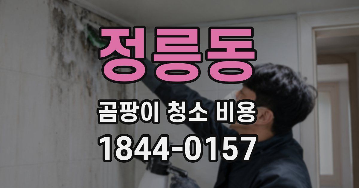 정릉동 곰팡이 청소 비용
