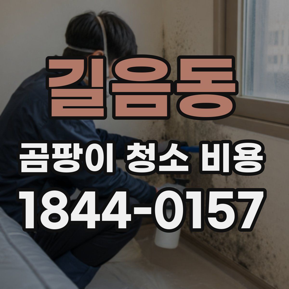길음동 곰팡이 청소 비용
