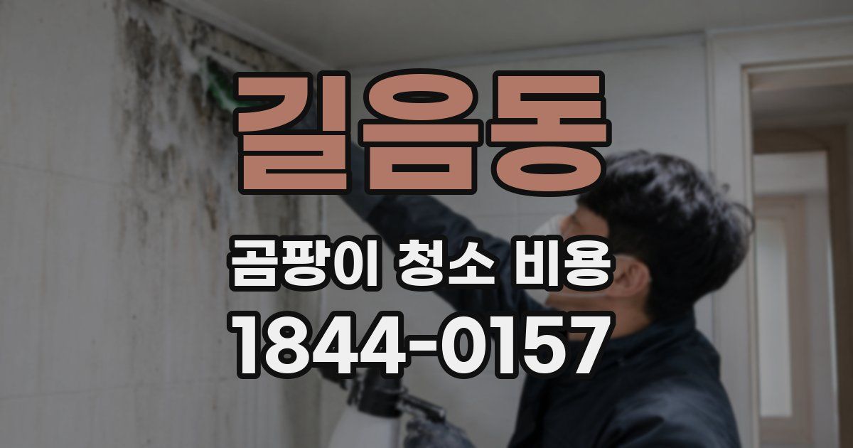 길음동 곰팡이 청소 비용