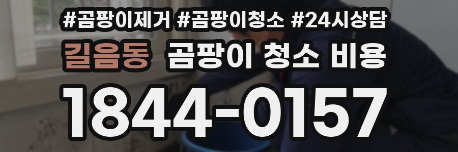 길음동 곰팡이 청소 비용