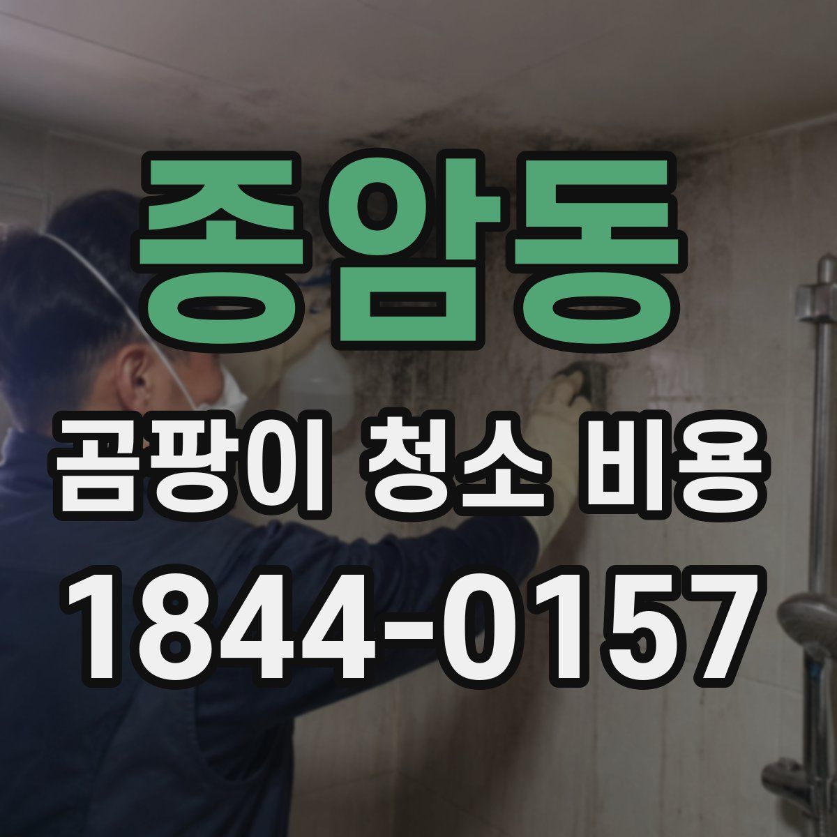 종암동 곰팡이 청소 비용