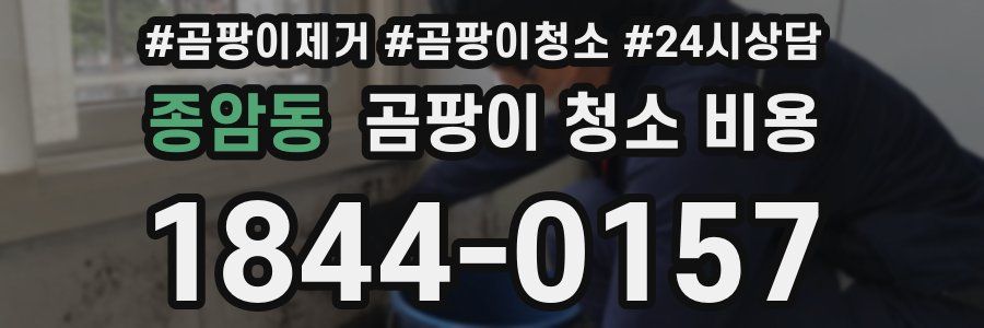 종암동 곰팡이 청소 비용