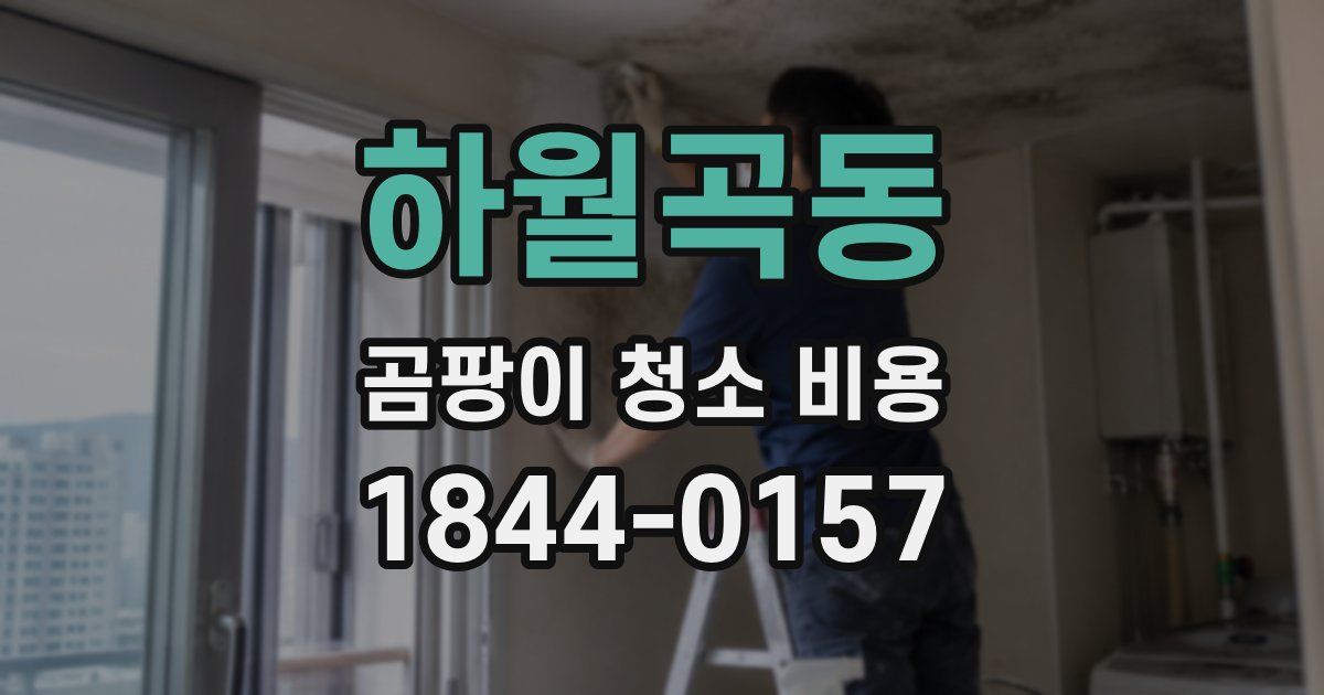 하월곡동 곰팡이 청소 비용