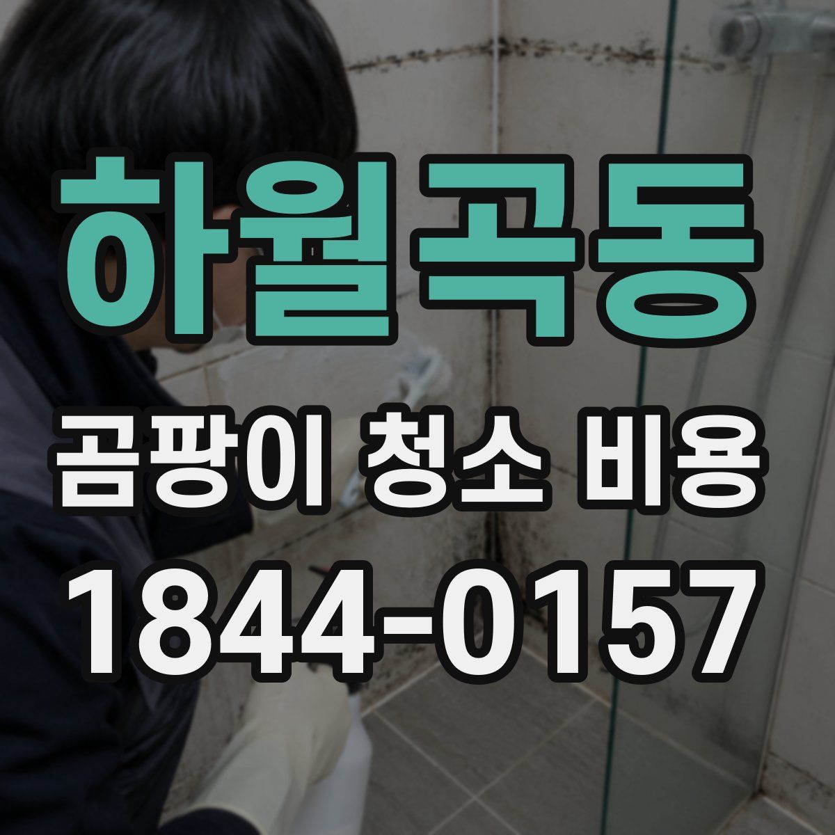 하월곡동 곰팡이 청소 비용