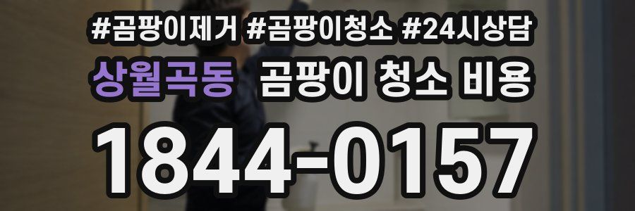 상월곡동 곰팡이 청소 비용