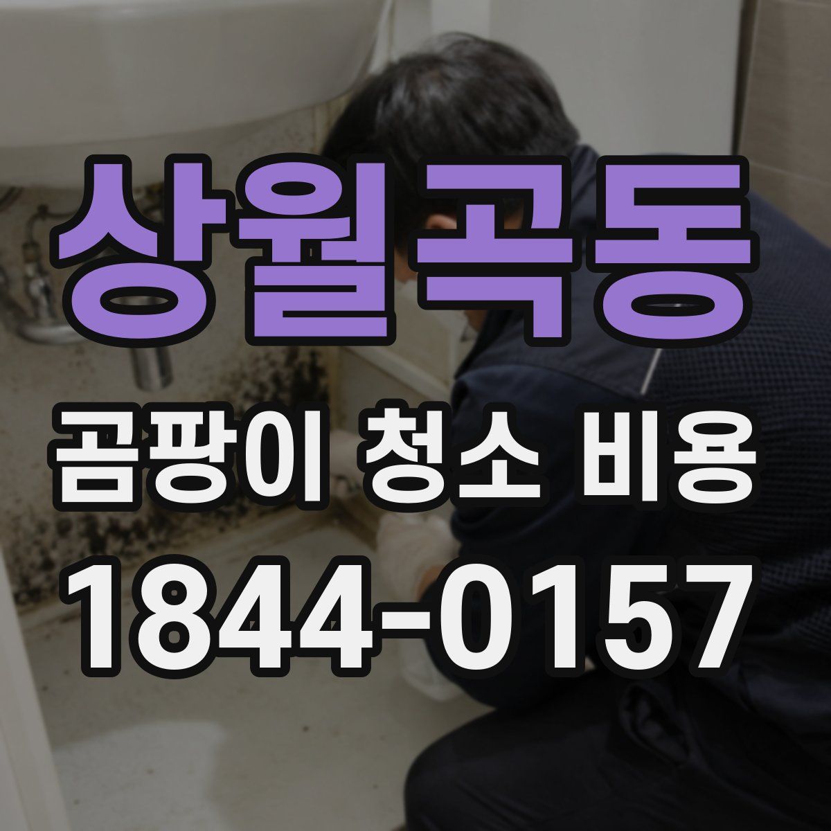 상월곡동 곰팡이 청소 비용