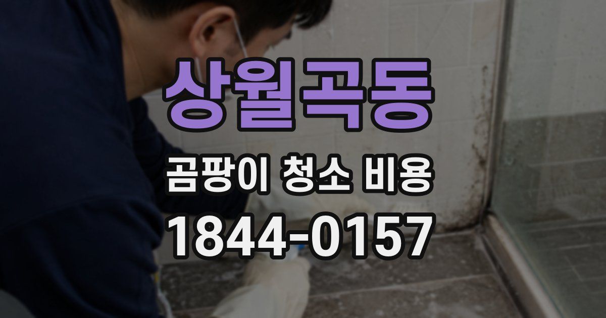 상월곡동 곰팡이 청소 비용