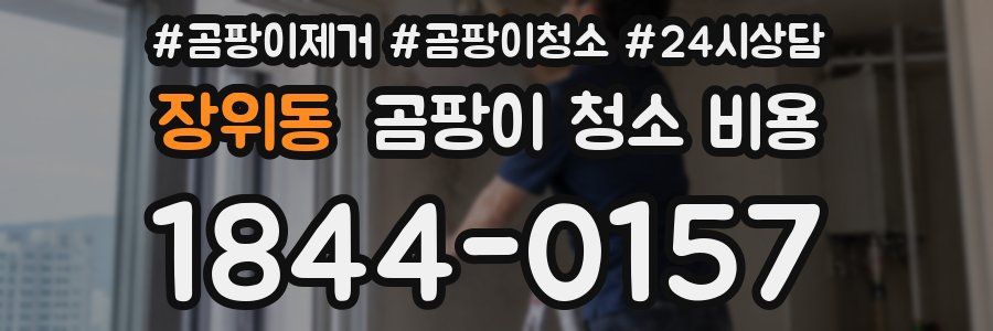 장위동 곰팡이 청소 비용